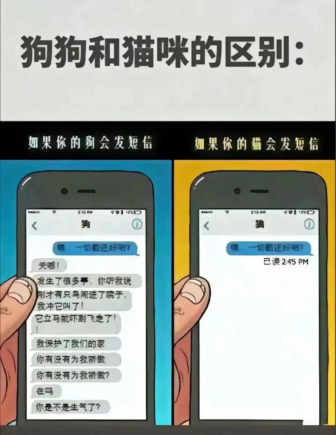 西檬之家字母圈的大圈到底是什么?探索亚文化的真相与现状 一