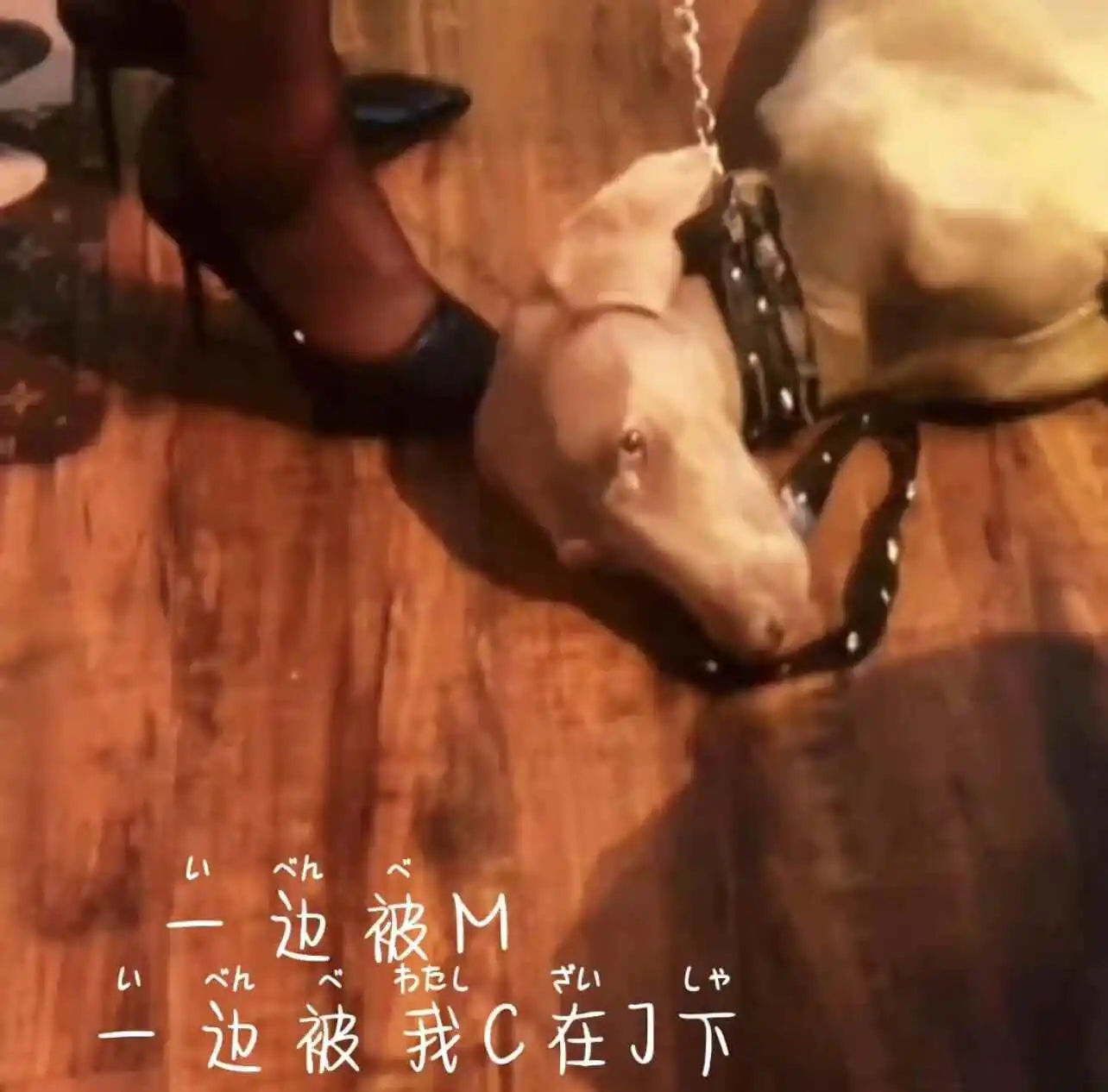 西檬之家斯慕圈是什么 一