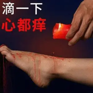 西檬之家k9犬系是什么意思? 一