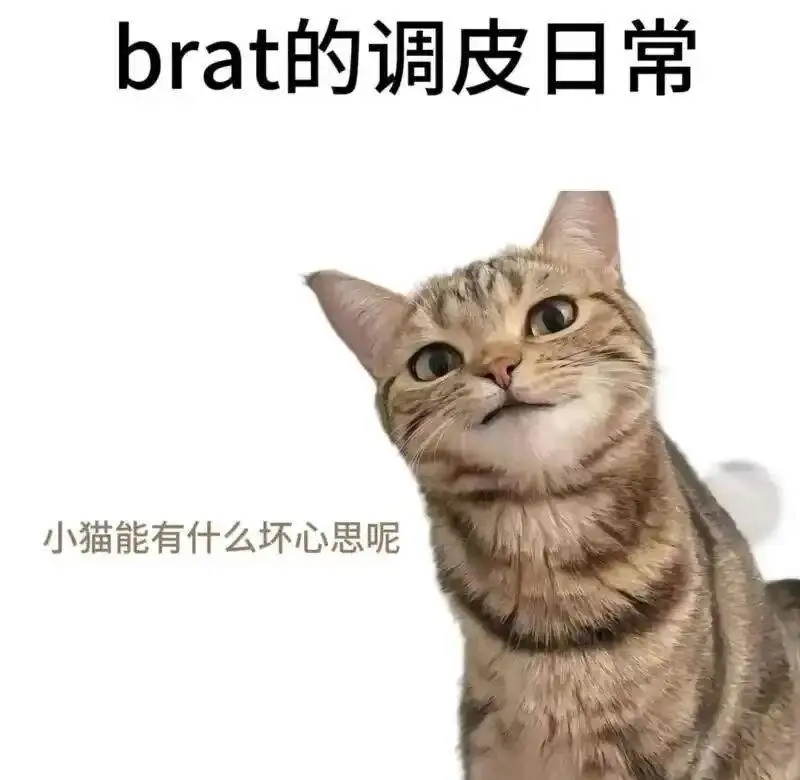 西檬之家恋足癖是什么?你是字母圈足控吗? 一