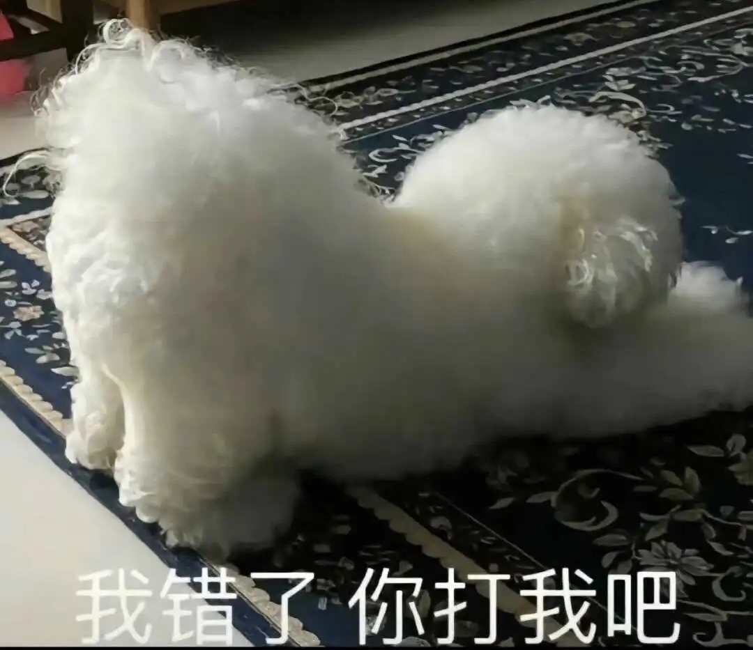 西檬之家K9犬系是什么意思? 一