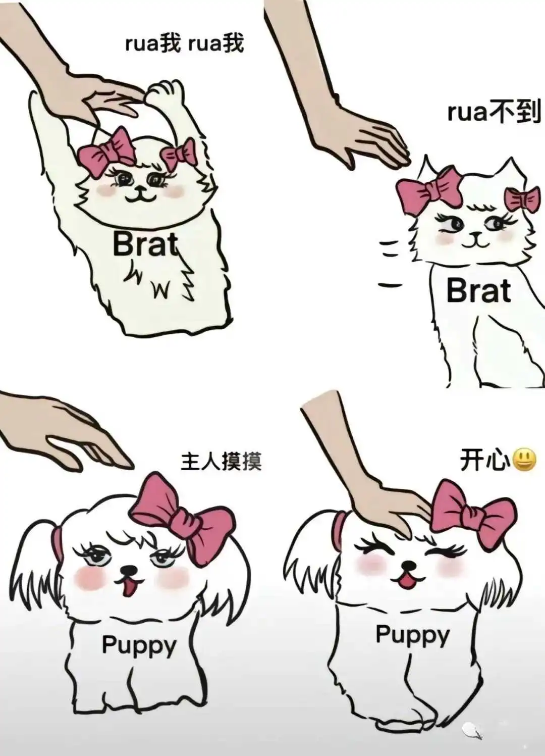 西檬之家字母圈里的S属性是什么意思? 一