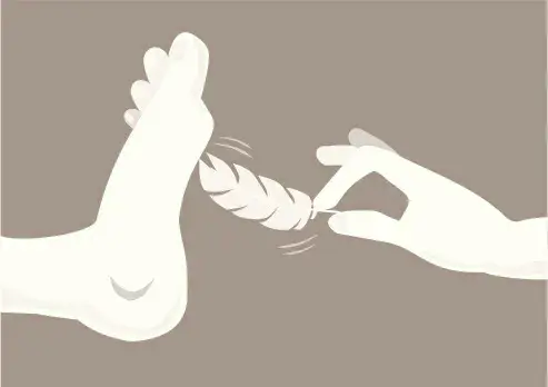 西檬之家s倾向详解:你真的了解吗? 一