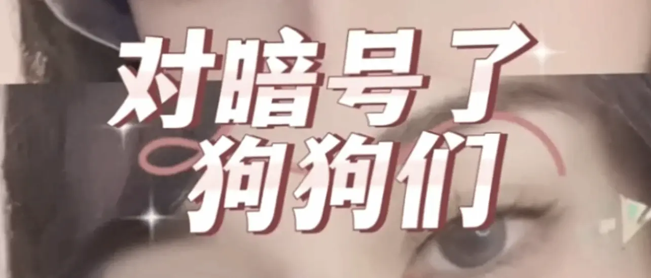 西檬之家k9犬系是什么?字母圈新人指南 一