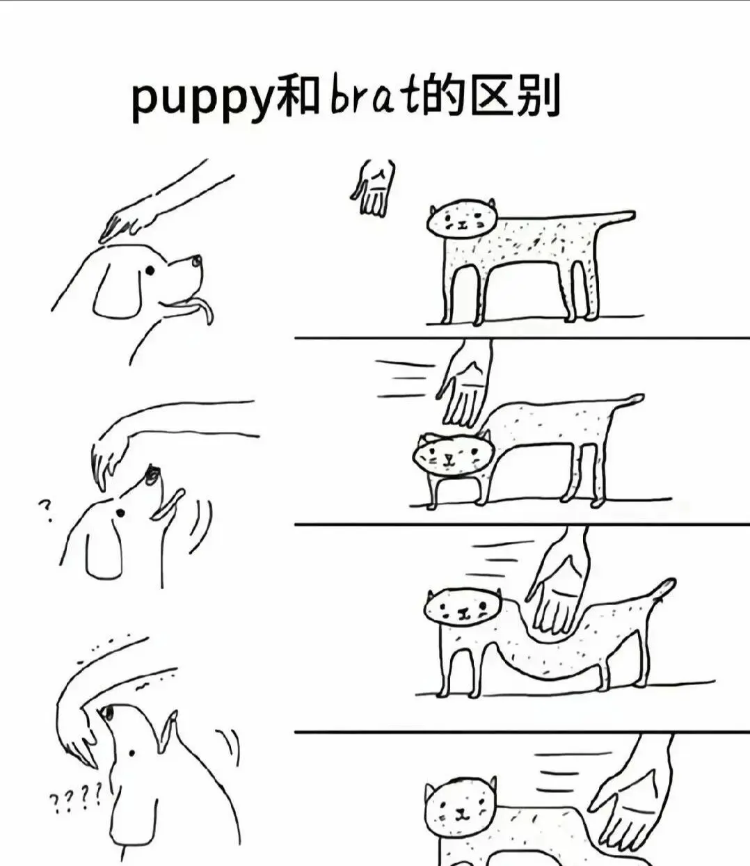 西檬之家字母圈中sub是什么? 一